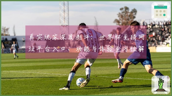 真实玩家深度测评：世界杯竞猜网址平台入口、功能与体验全方位解析