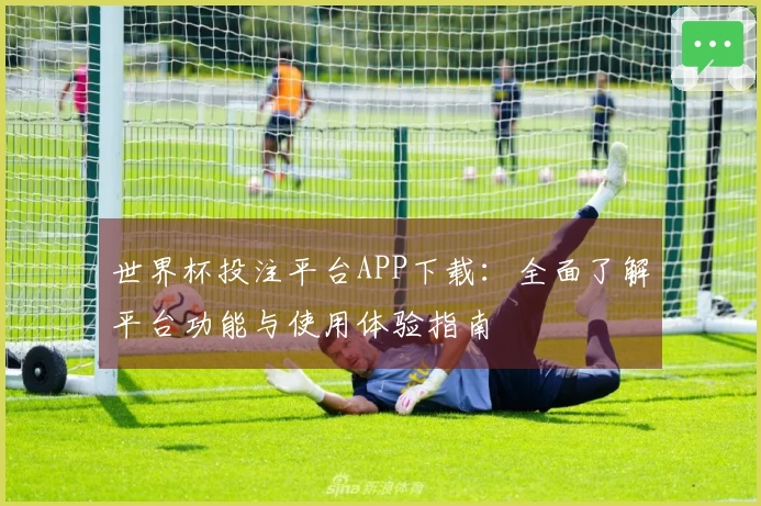 世界杯投注平台APP下载：全面了解平台功能与使用体验指南