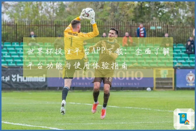 世界杯投注平台APP下载：全面了解平台功能与使用体验指南